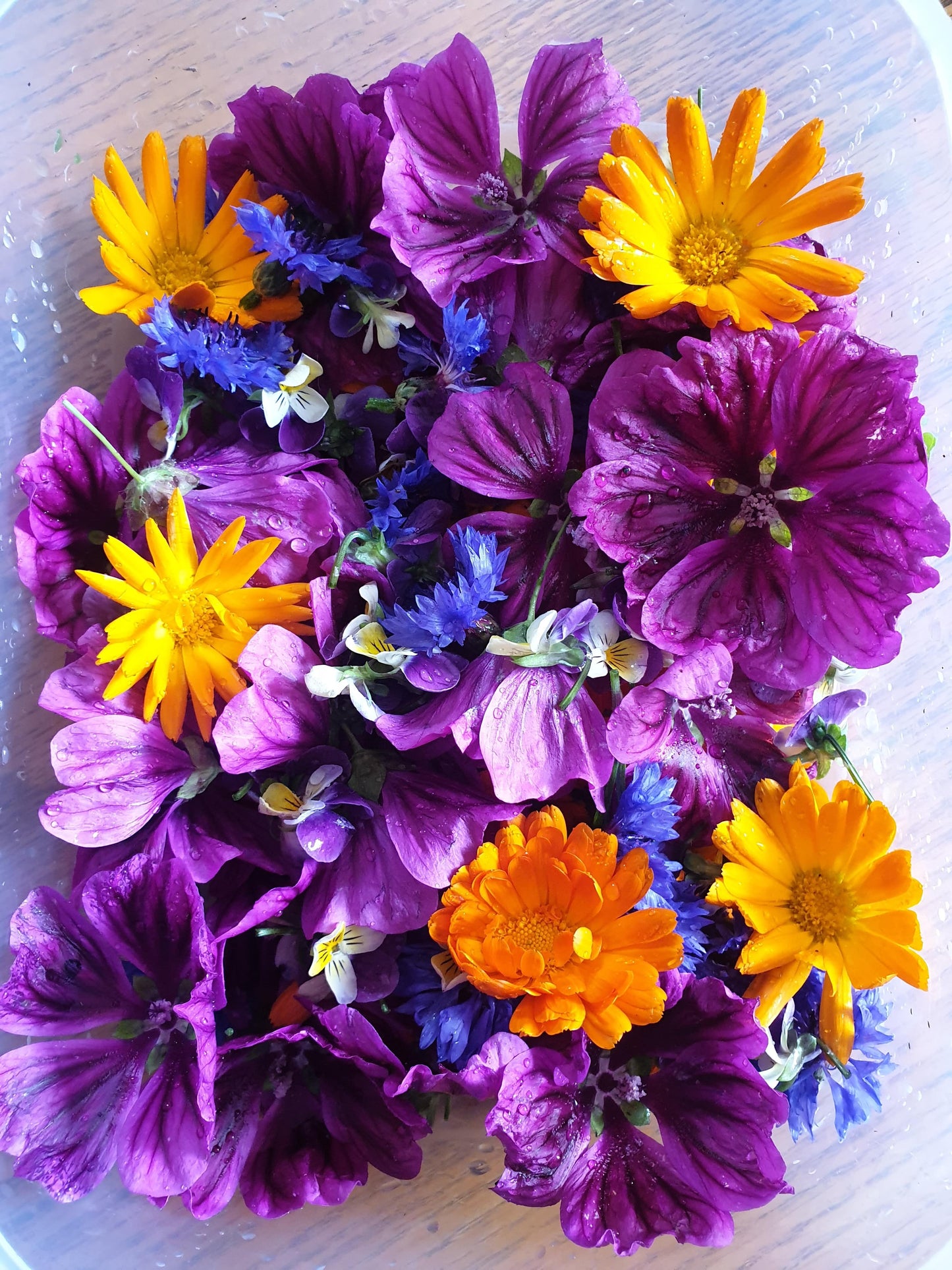 Edible Flowers - Nasturtium, Borage, Pansy, Cornflower, Calendula - from Sean Nua Farm, County Cavan